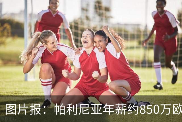 图片报：帕利尼亚年薪约850万欧，大概率将在季前备战回归拜仁