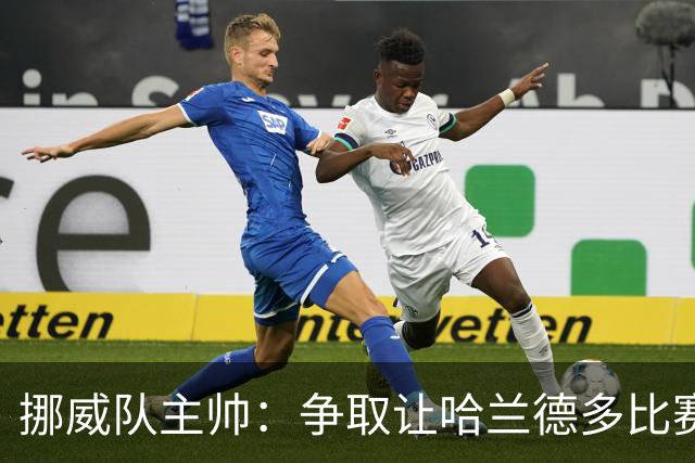 挪威队主帅：争取让哈兰德多比赛 他是世界上最好的前锋之一