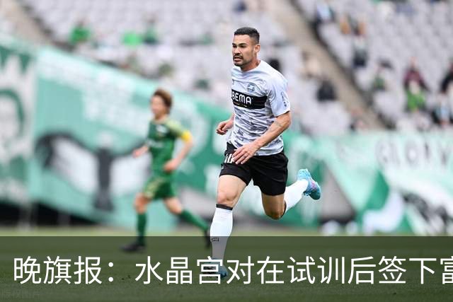 晚旗报：水晶宫对在试训后签下富安健洋持开放态度