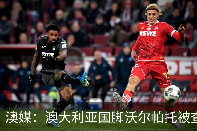 澳媒：澳大利亚国脚沃尔帕托被查出毒驾，禁赛期在3个月至4年间