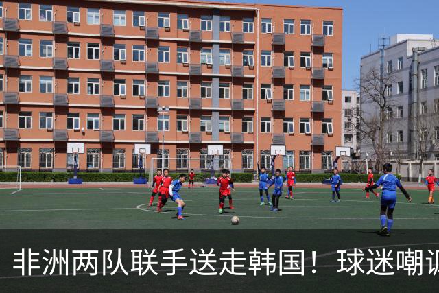 非洲两队联手送走韩国！球迷嘲讽：还在给2002年还债