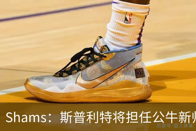 Shams：斯普利特将担任公牛新帅 上赛季率开拓者获西部第七